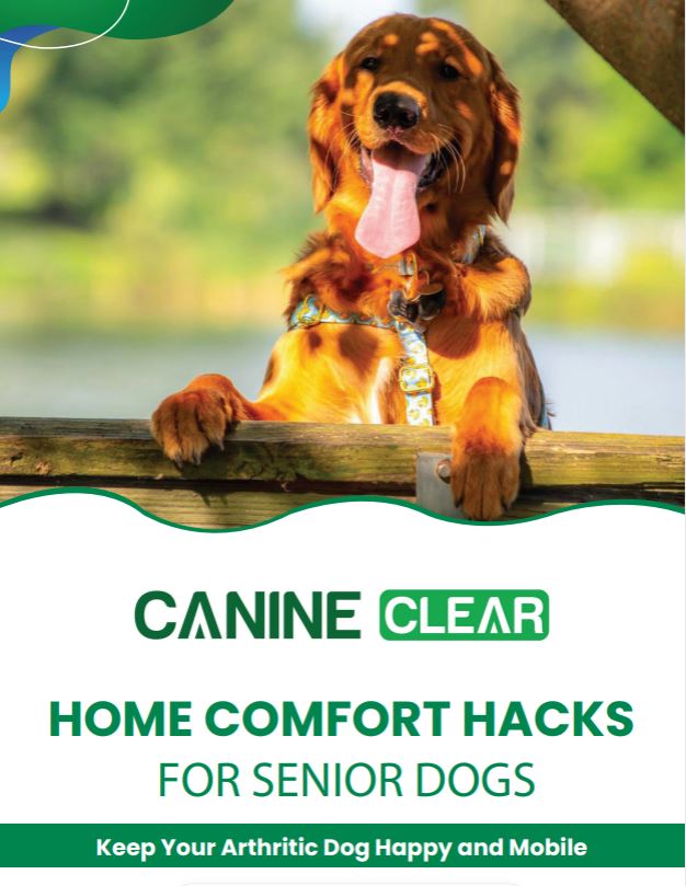 Placeholder image of a dental sticks package with a dog illustration.