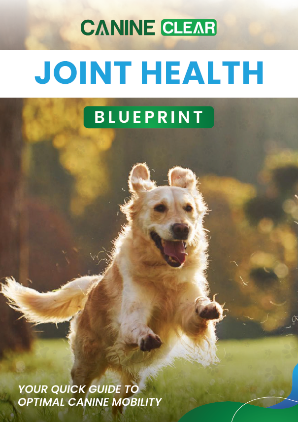 Placeholder image of a dental sticks package with a dog illustration.