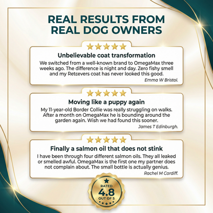 OmegaMax™ - 100% Wild-Caught Alaskan Salmon Oil - Canine Clear