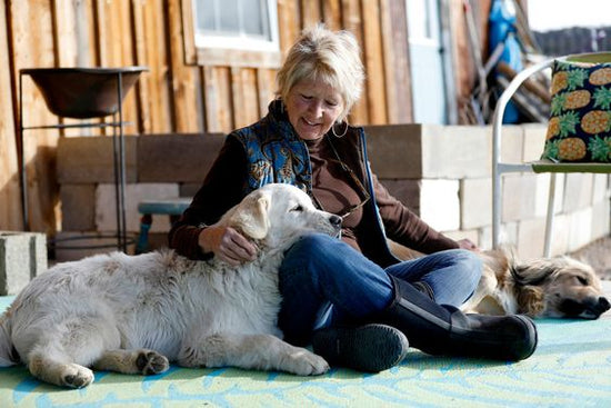 Perro grande descansando con su dueña