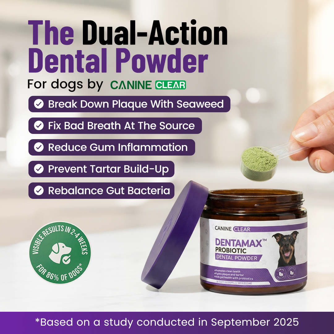 DentaMax™ Probiotic Dental Powder