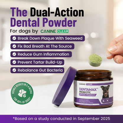 DentaMax™ Probiotic Dental Powder