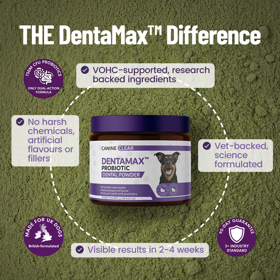 DentaMax™ Probiotic Dental Powder Offer - Canine Clear