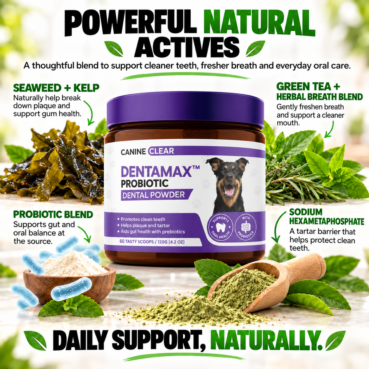 DentaMax™ Probiotic Dental Powder