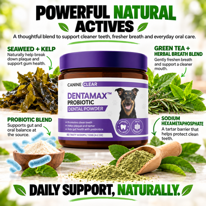 DentaMax™ Probiotic Dental Powder
