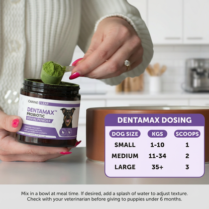 DentaMax™ Probiotic Dental Powder