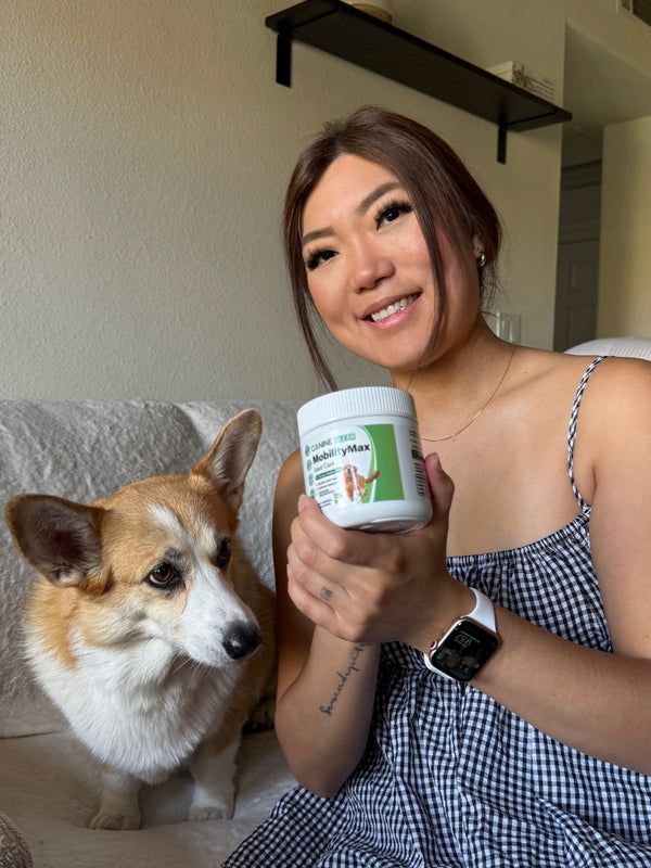 Happy customer dog