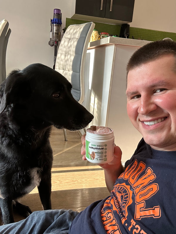 Happy customer dog