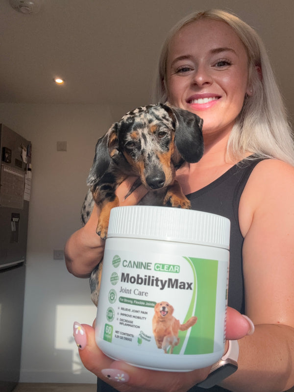 Happy customer dog