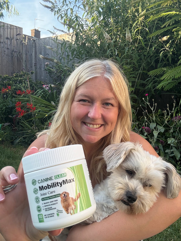 Happy customer dog