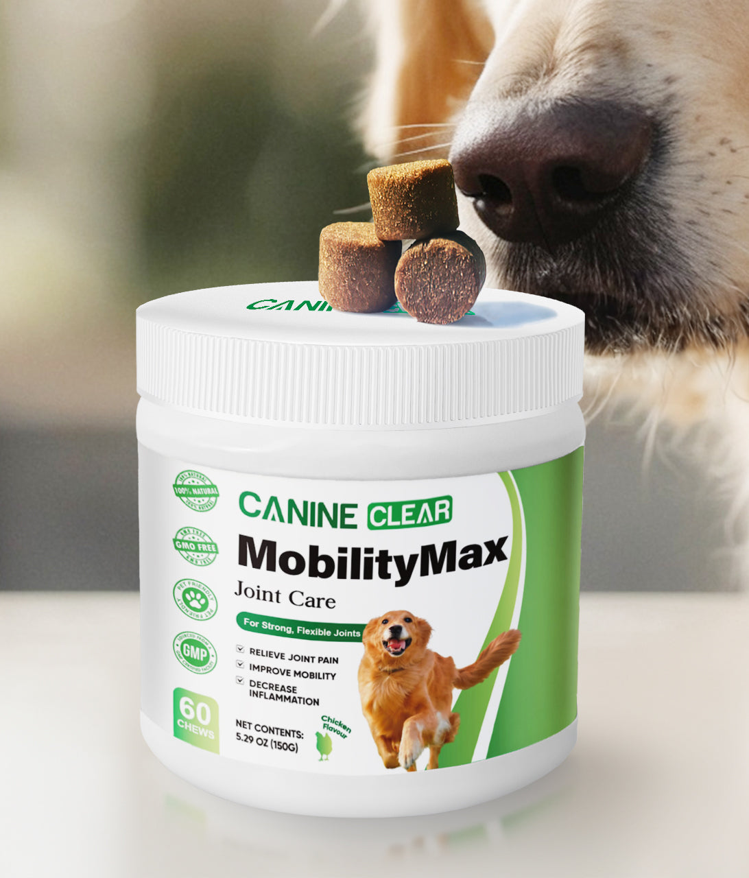 Advanced Plant-Powered Joint Care for Dogs