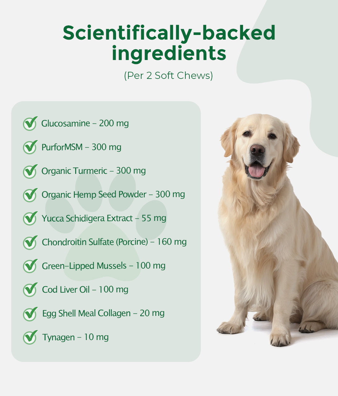 Advanced Plant-Powered Joint Care for Dogs