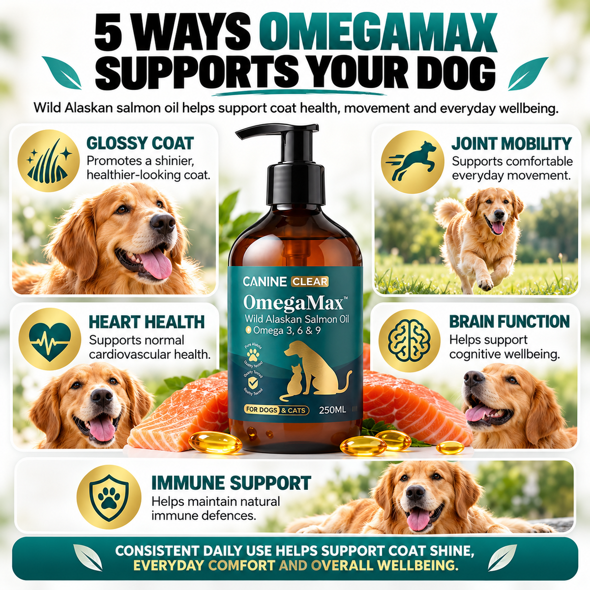 OmegaMax™ Alaskan Salmon Oil