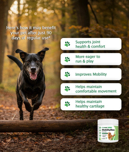 2x MobilityMax™ Plant-Powered Joint Chews