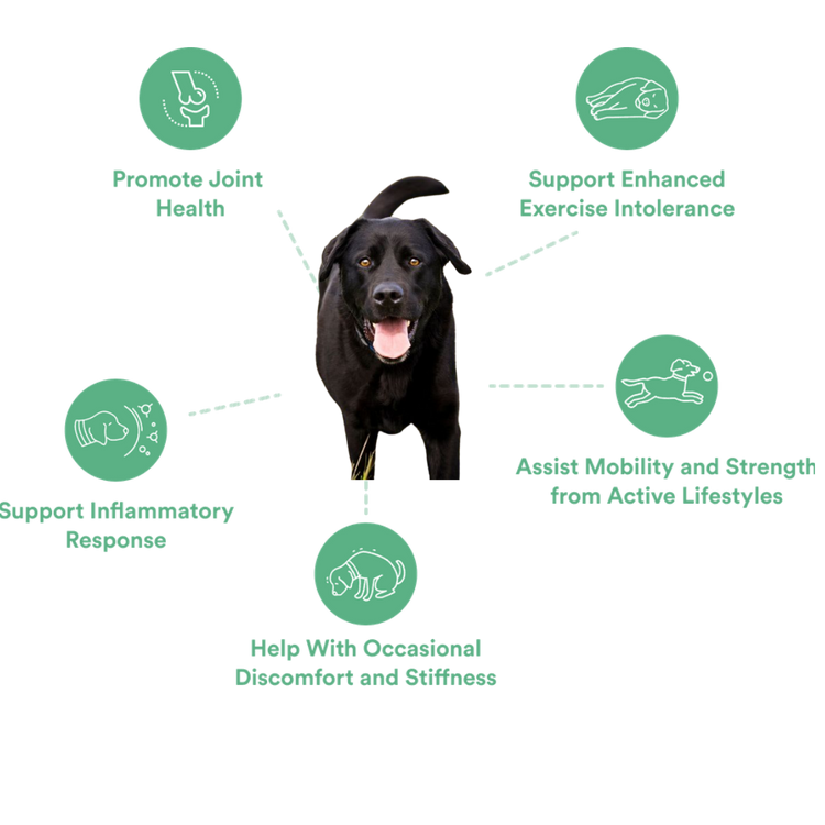 Beneficios MobilityMax: articulaciones y movilidad