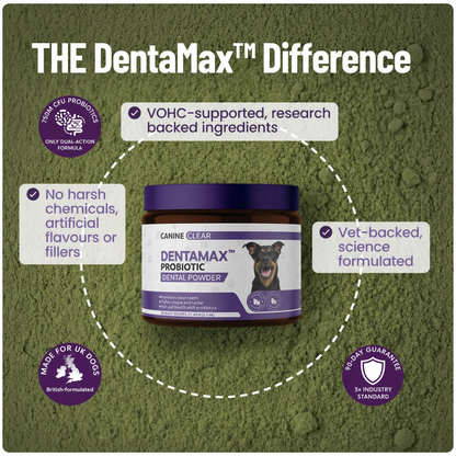 DentaMax™ Probiotic Dental Powder - Canine Clear