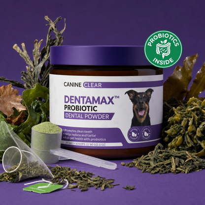DentaMax™ Probiotic Dental Powder - Canine Clear