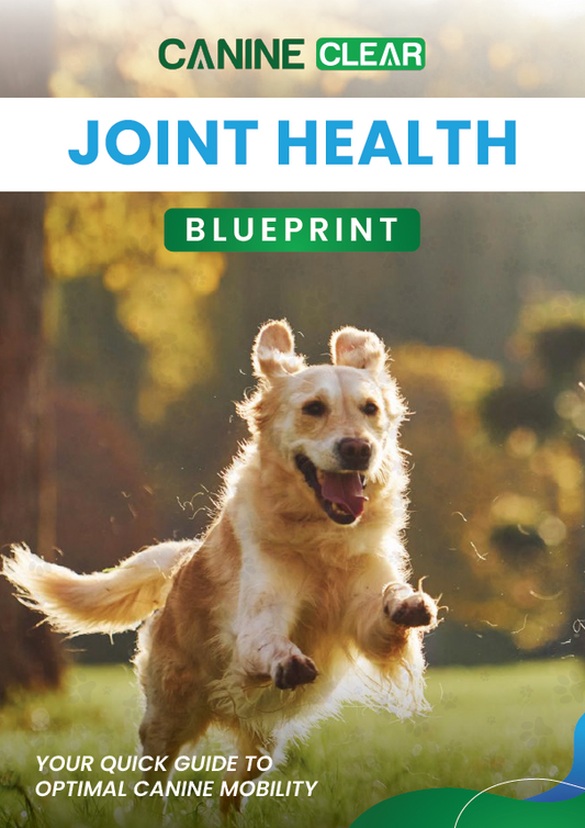 Joint Health e-Book (RRP £19.99)