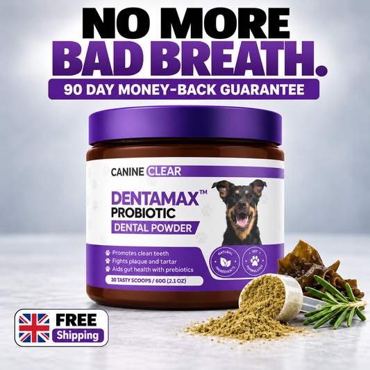 DentaMax™ Probiotic Dental Powder