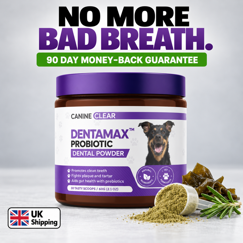 DentaMax™ Probiotic Dental Powder
