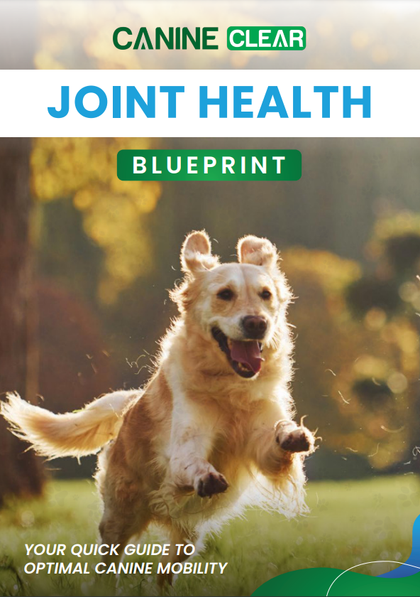 The Joint Health Blueprint guide