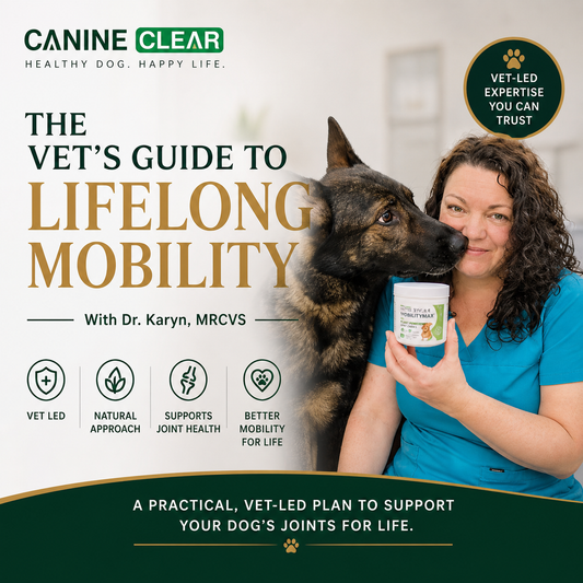 Vet's Guide to Life-Long Mobility with Dr. Karyn, MRCVS - Canine Clear