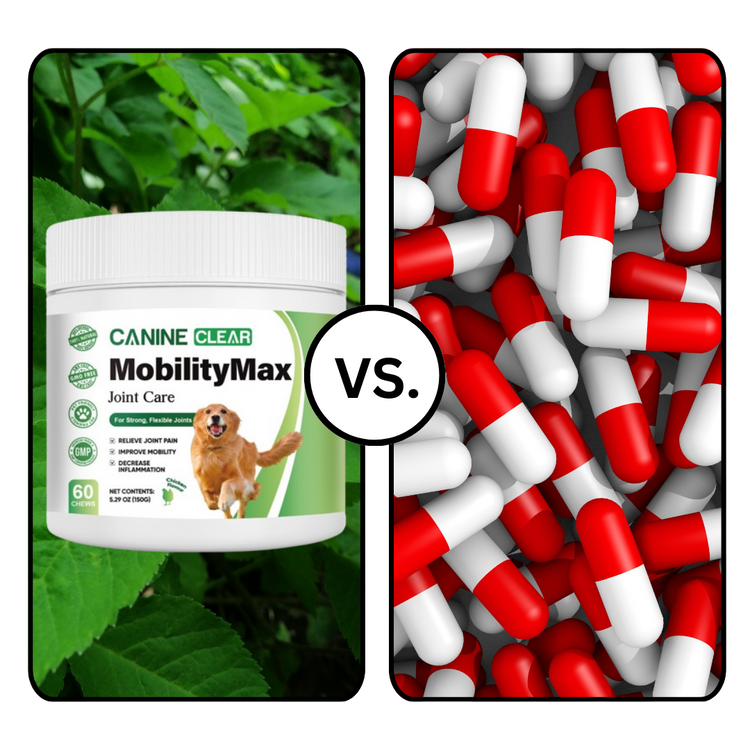 Comparativa: MobilityMax a base de plantas vs pastillas de laboratorio